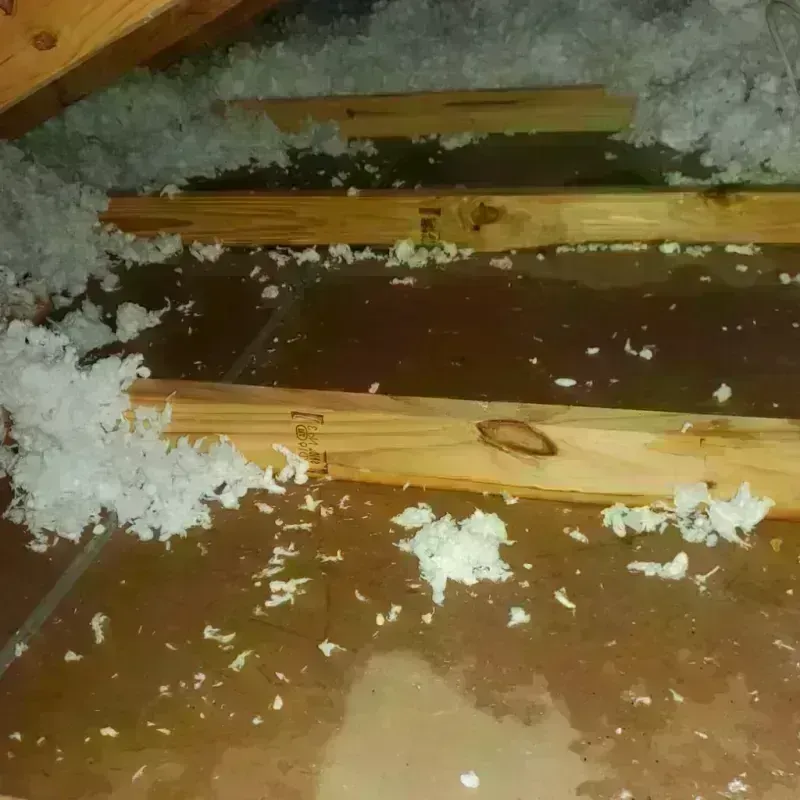 Attic Water Damage in Reston, VA