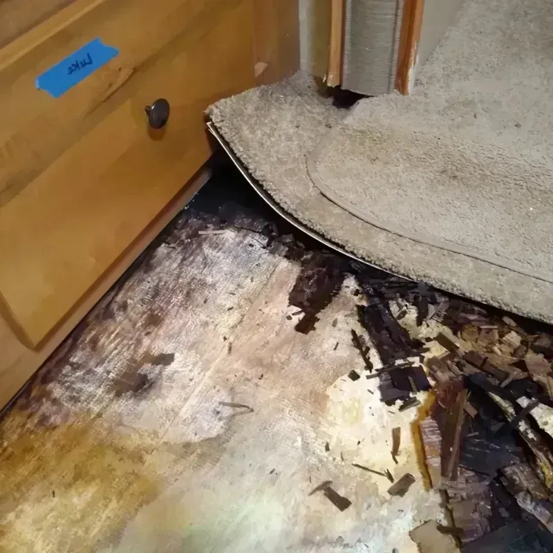 Wood Floor Water Damage in Reston, VA